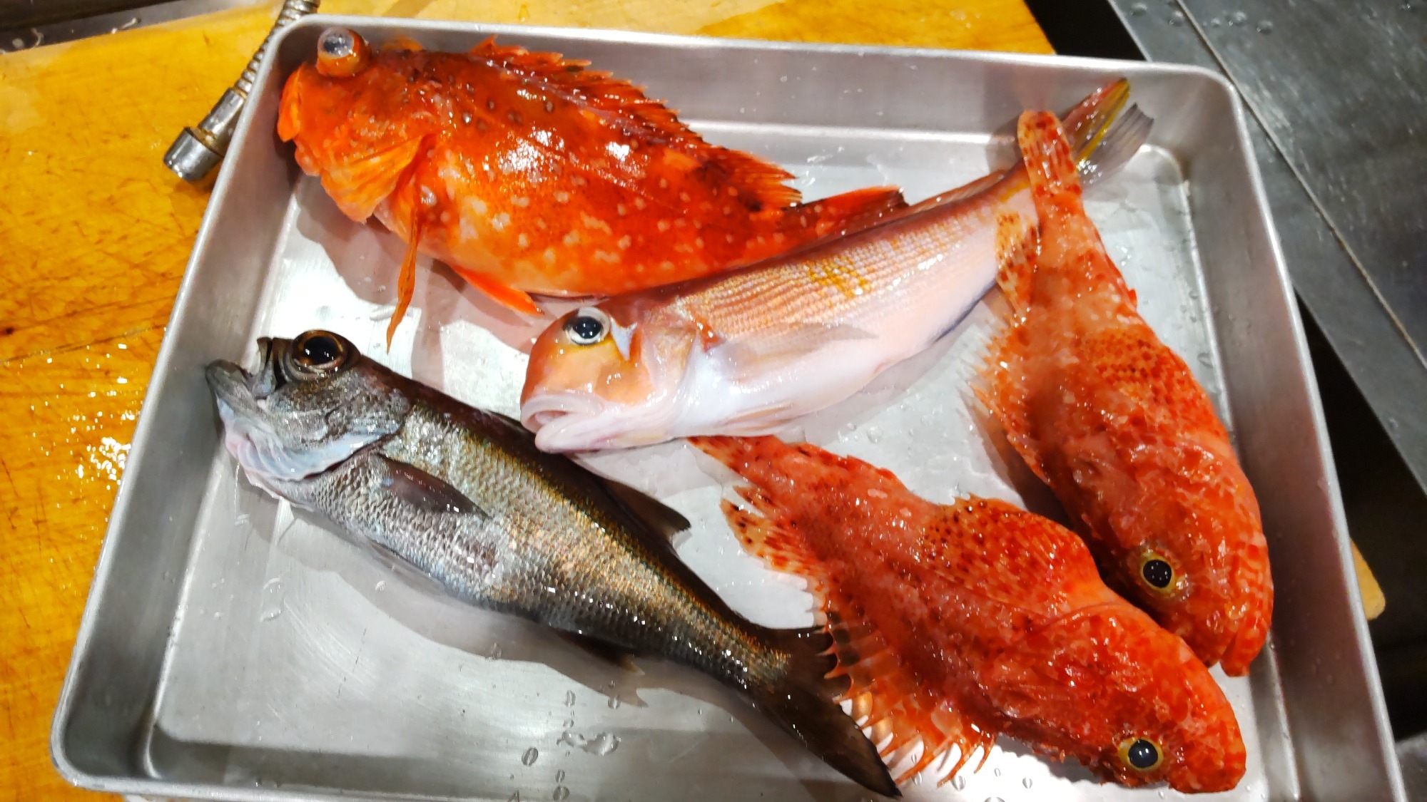 写真：焼魚、煮魚、揚物弁当