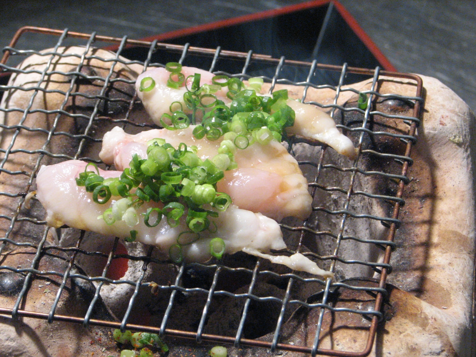 写真：天然虎ふぐ
